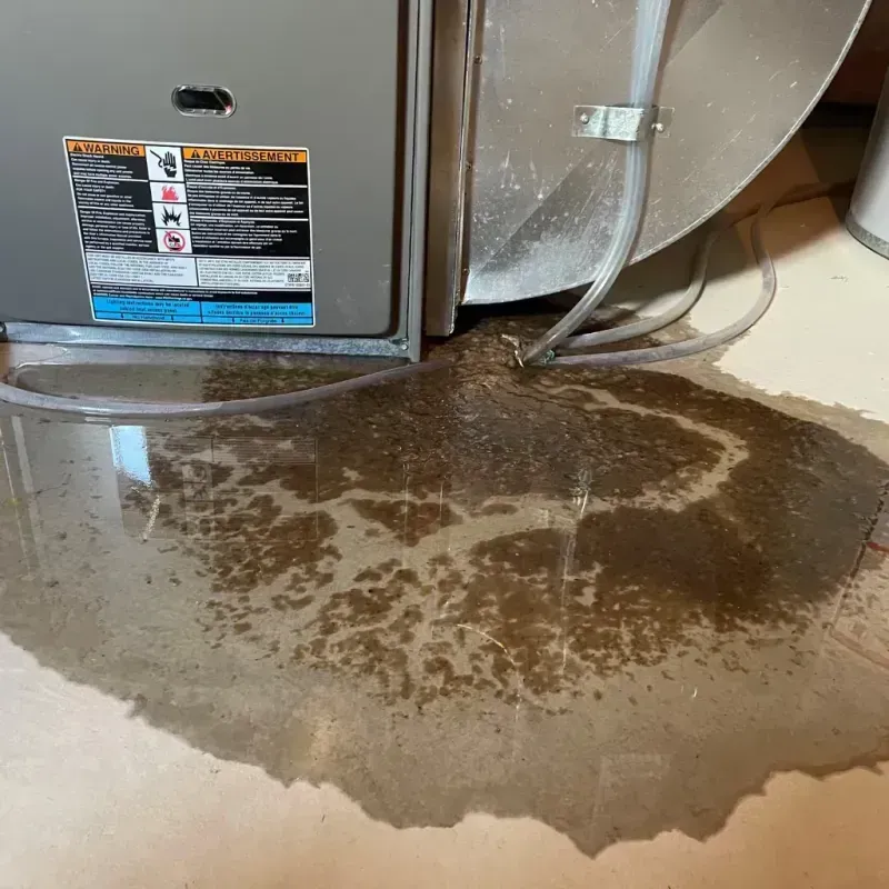 Appliance Leak Cleanup in Shoreview, MN